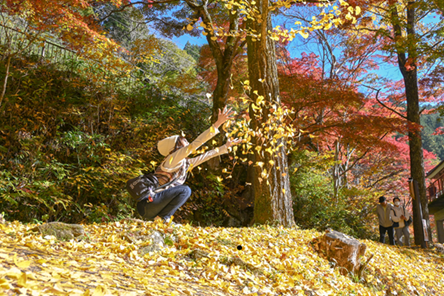 紅葉狩り🍁